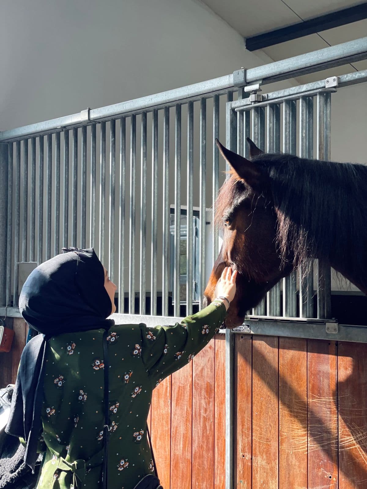 Eine Person streichelt sanft den Kopf eines Pferdes in der Stallbox