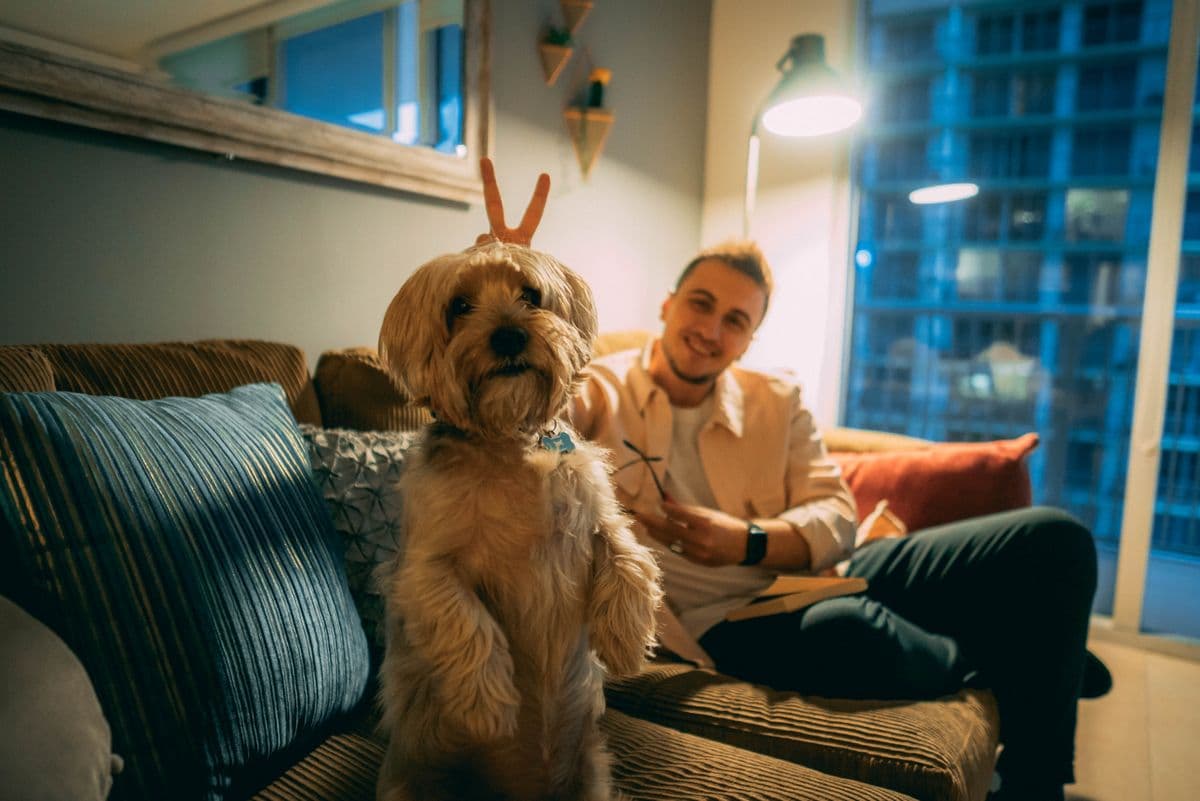 Ein Mann sitzt entspannt mit seinem Hund auf dem Sofa zuhause
