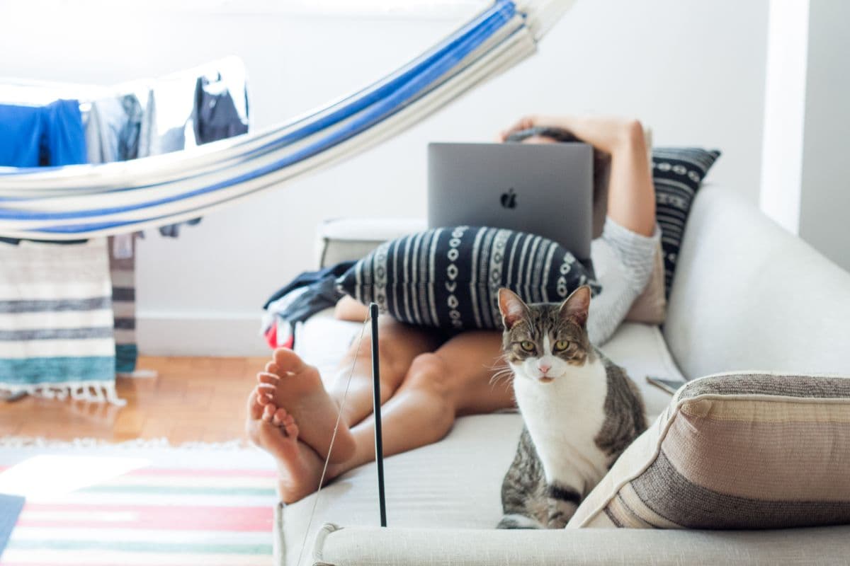Eine Katze liegt entspannt neben ihrem Menschen auf dem Sofa zuhause